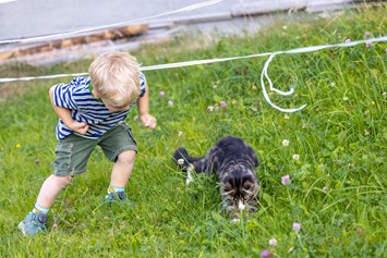 Mountainbikehotel: Wir haben zahlreiche Haustiere am Hof, die gerne mit Ihren Kindern spielen oder sich verwöhnen lassen - Ferienwohnungen Perfeldhof