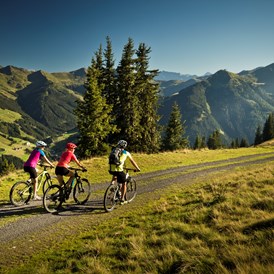 Mountainbikehotel: AlpenParks Hotel & Apartment Sonnleiten