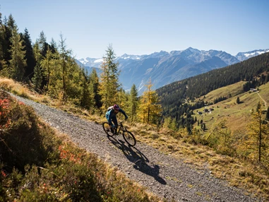 Mountainbikehotel: Mountainbiken Richtung Steineralm - Hotel Gassner****Superior