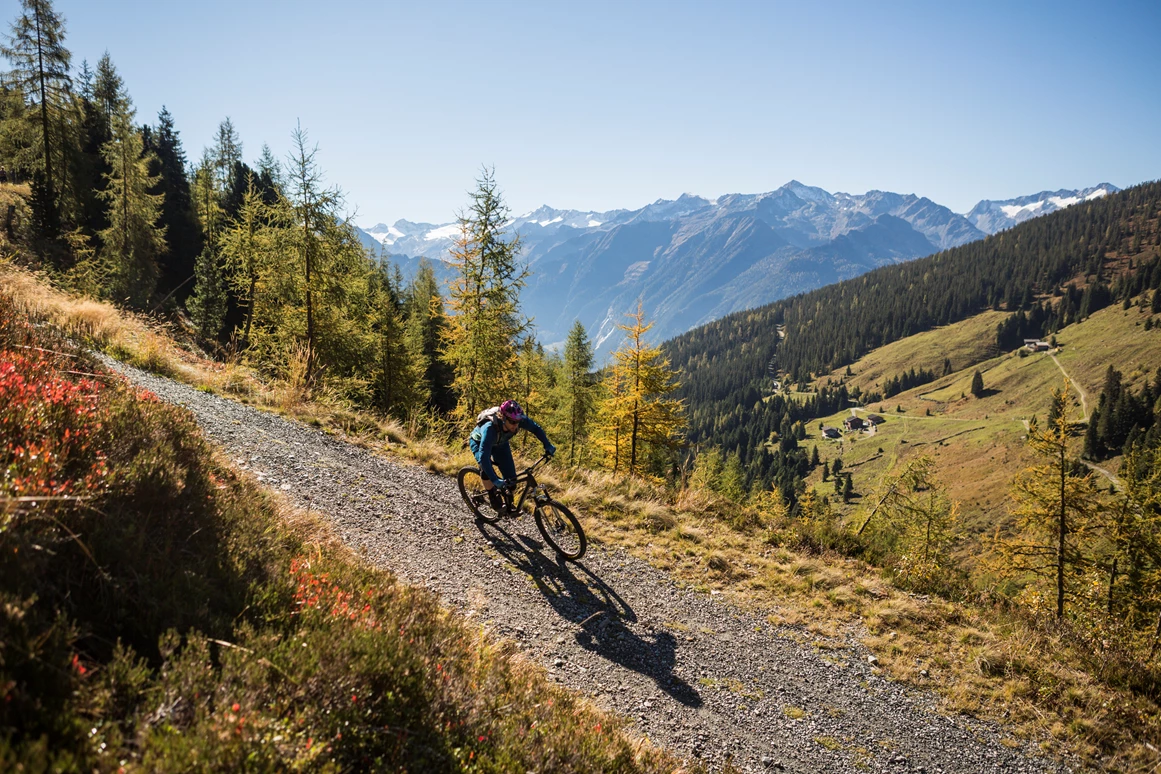 Mountainbikehotel: Mountainbiken Richtung Steineralm - Hotel Gassner****Superior