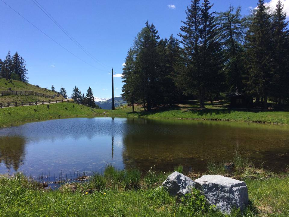 Mountainbikehotel: Valrunzhof direkt am Seilbahncenter