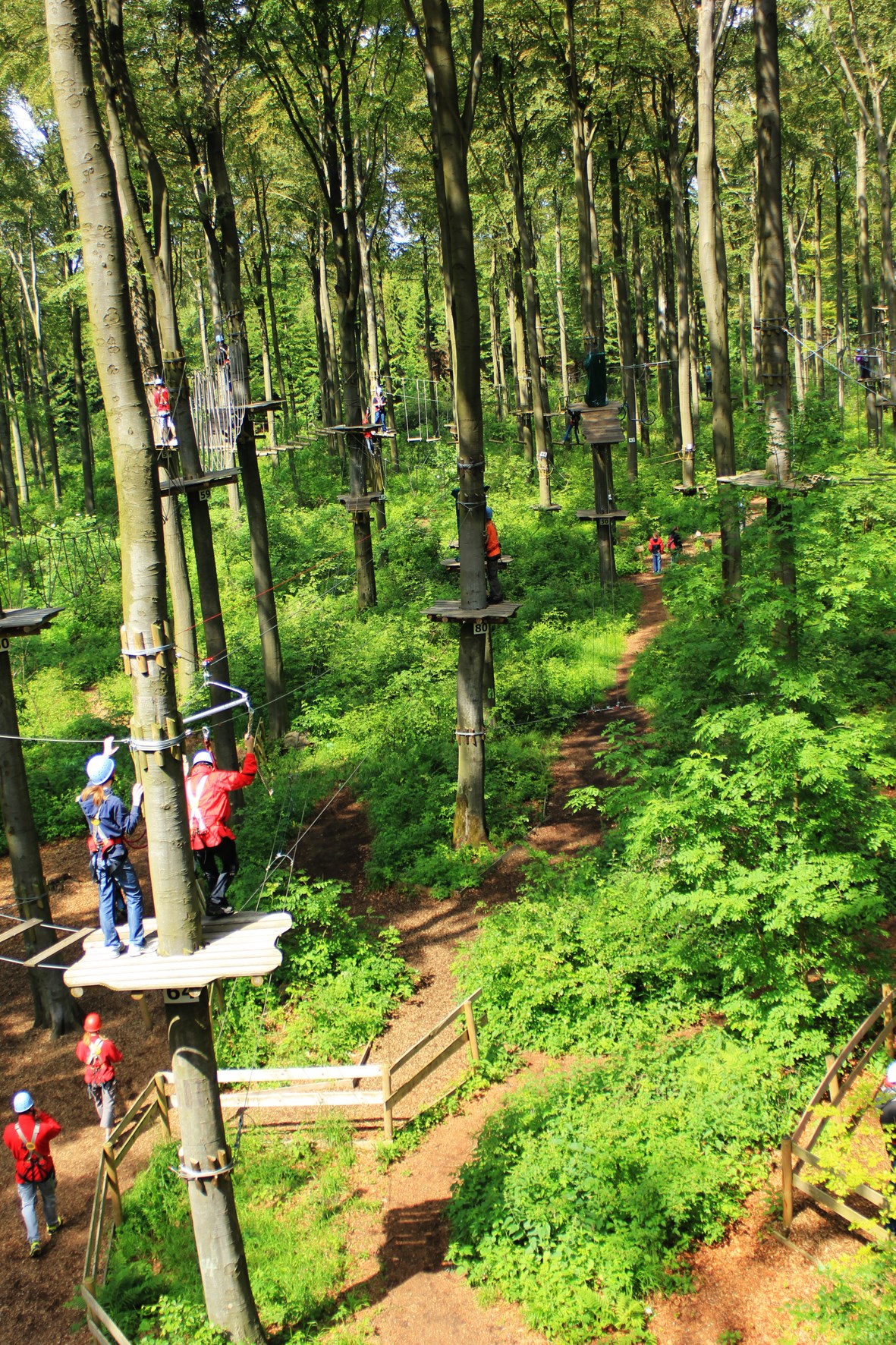 Waldhotel Schäferberg Ausflugsziele Kletterwald Kassel