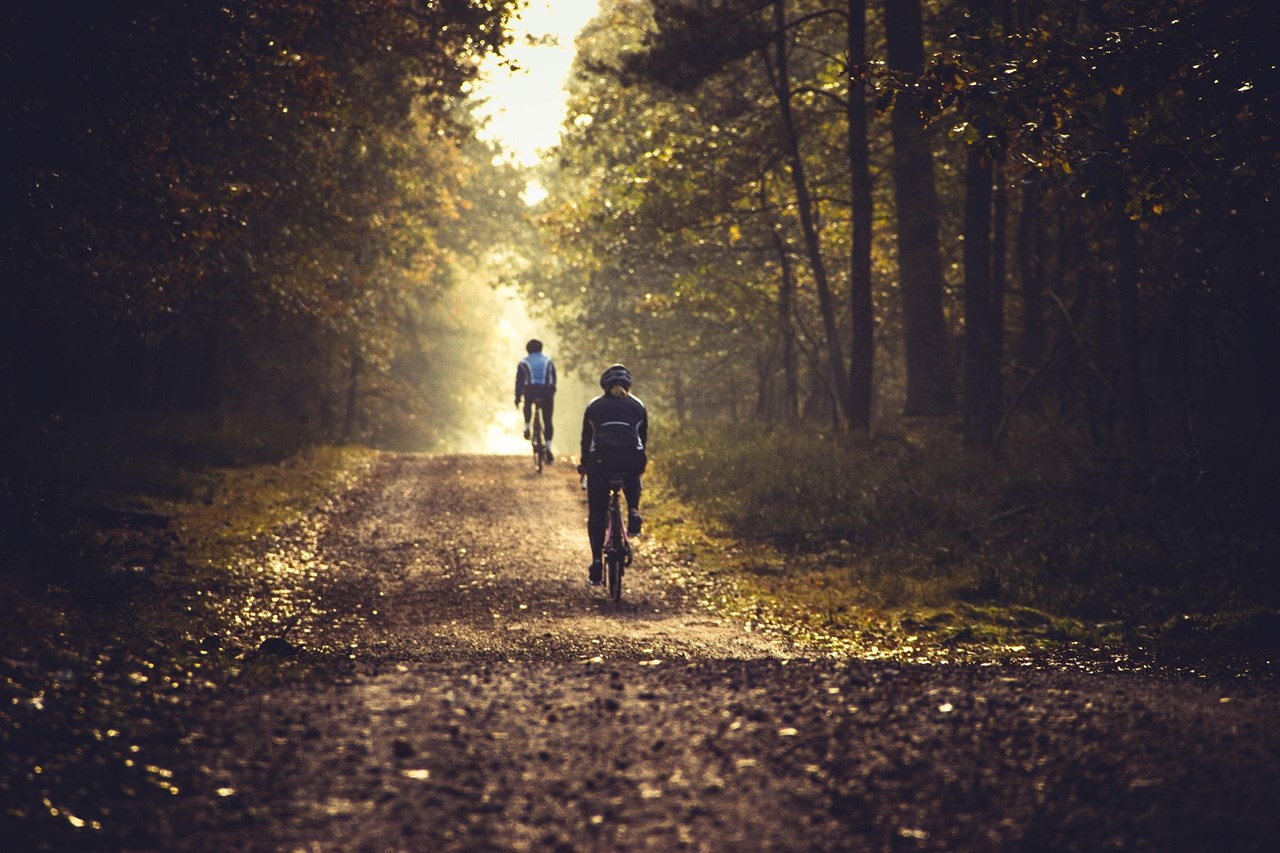 Waldhotel Schäferberg Touren Übersicht Green-Trail-Gebiete Nordhessen