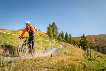 Mountainbikehotel: Flow Country Trail - Trattlers Hof-Chalets