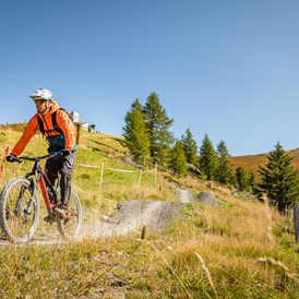 Mountainbikehotel: Flow Country Trail - Trattlers Hof-Chalets