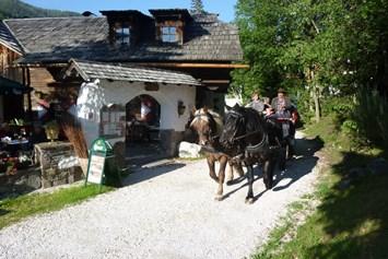 Mountainbikehotel: Pferdekutschen-Erlebnisfahrten - Trattlers Hof-Chalets