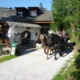 Mountainbikehotel: Pferdekutschen-Erlebnisfahrten - Trattlers Hof-Chalets