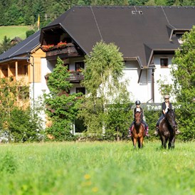 Mountainbikehotel: Hauseigener Reitstall - Hotel GUT Trattlerhof & Chalets****