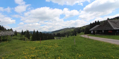 Mountainbike Urlaub - PLZ 79286 (Deutschland) - Landschaft in der Umgebung - H&P Residenz Grafenmatt