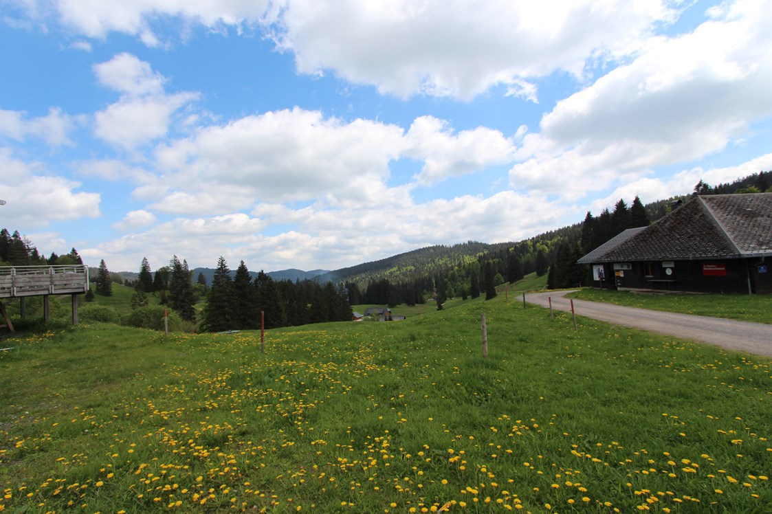 Mountainbikehotel: Landschaft in der Umgebung - H&P Residenz Grafenmatt