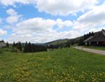 Mountainbikehotel: Landschaft in der Umgebung - H&P Residenz Grafenmatt