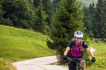 Mountainbikehotel: E-Bike - Familien und Vitalhotel Mühlpointhof ***S