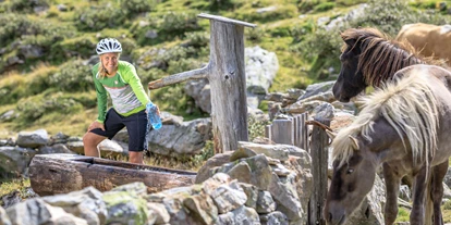 Mountainbike Urlaub - PLZ 8982 (Österreich) - Hotel Annelies