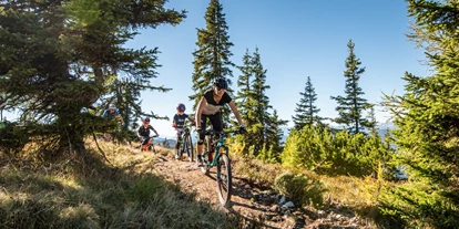 Mountainbike Urlaub - PLZ 8982 (Österreich) - Hotel Annelies