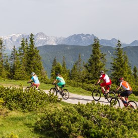 Mountainbikehotel: © Salzburger Sportwelt/Coen Weesjes - Gut Weissenhof ****Superior