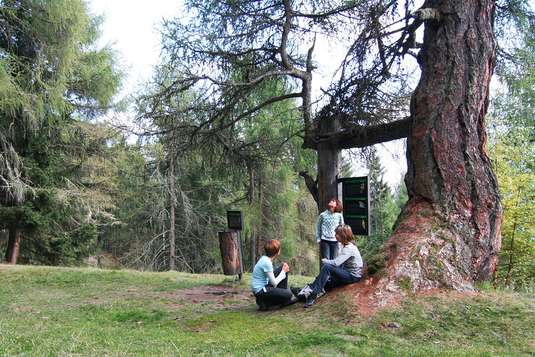 Hotel Goldried Ausflugsziele Zedlacher Paradies