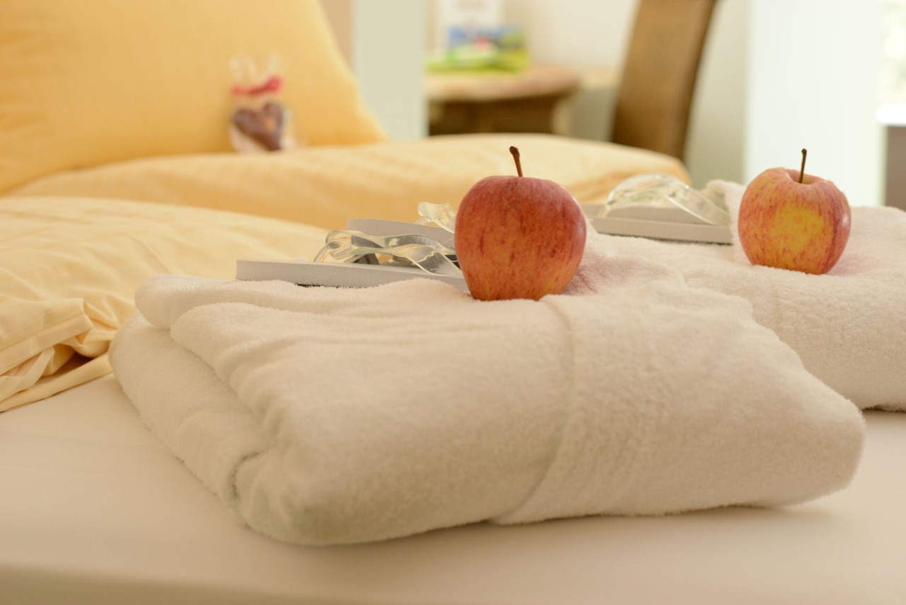 Hartweger' Hotel in Weißenbach bei Schladming Zimmerkategorien Doppelzimmer "Planai"