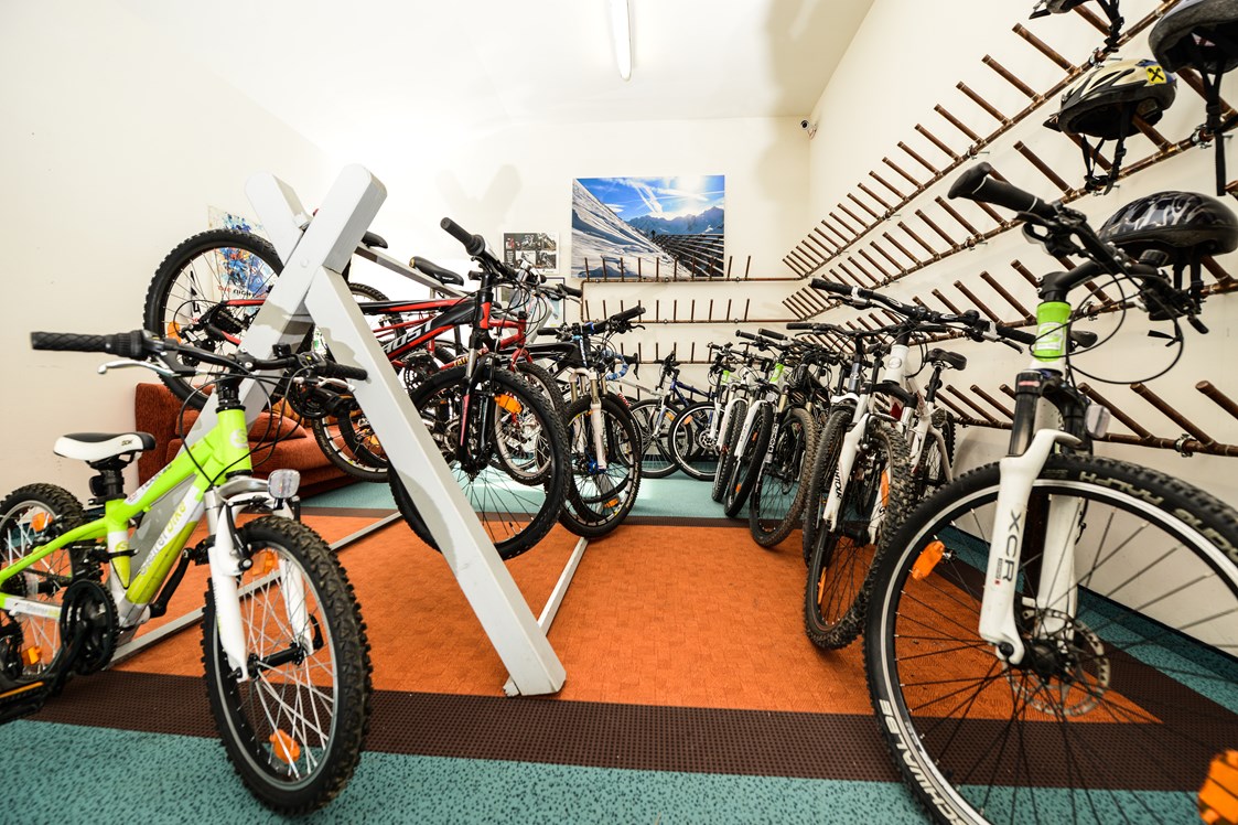 Mountainbikehotel: Mountainbike-Garage - Hotel Hartweger in Weißenbei bei Schladming