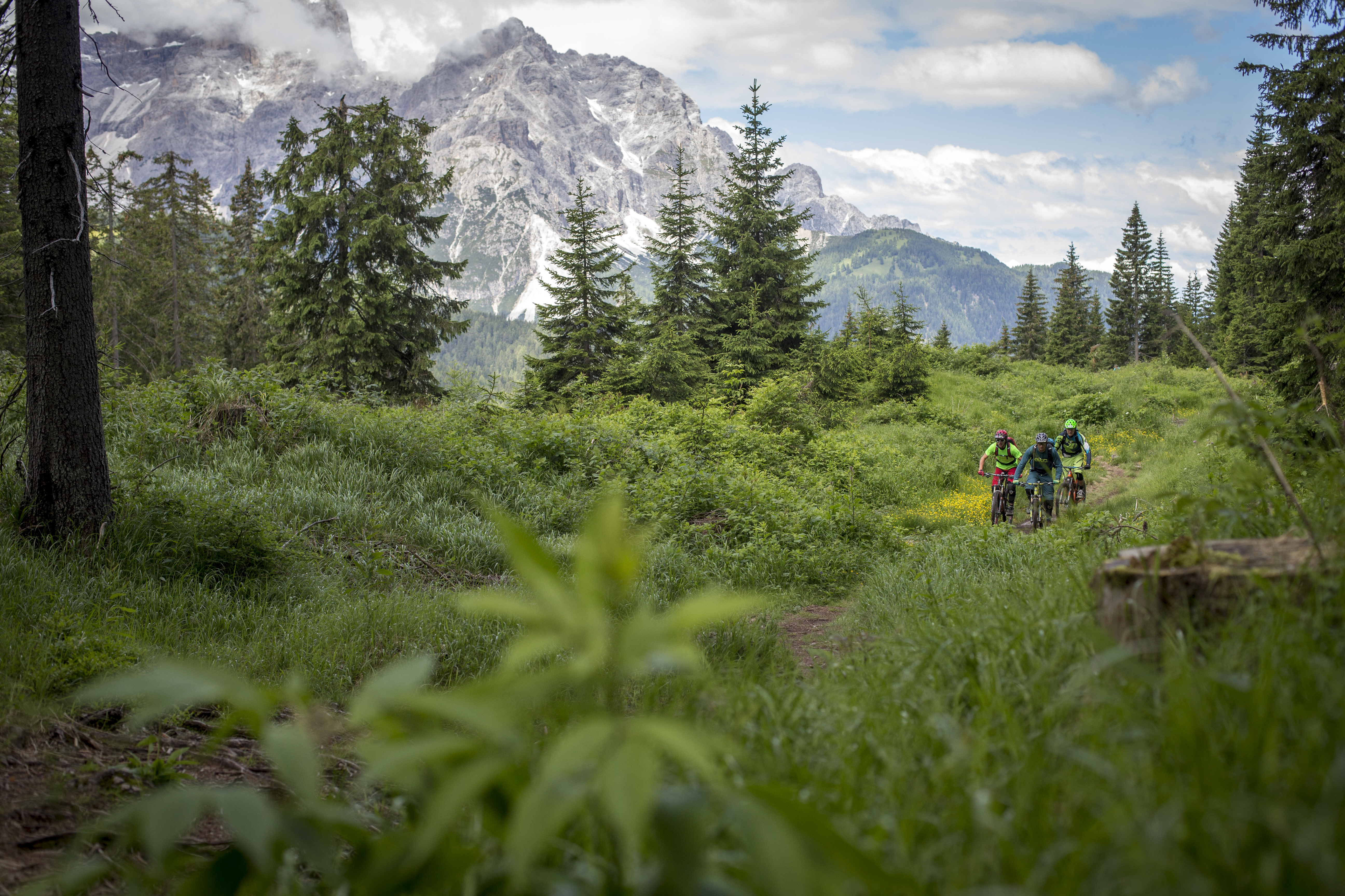 Hotel Royal ***S Touren Übersicht Knieberg - Rotwandwiesen