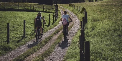 Mountainbike Urlaub - PLZ 8982 (Österreich) - Rad fahren   - B&B Hotel | Appartements | Bar dieBARBARA