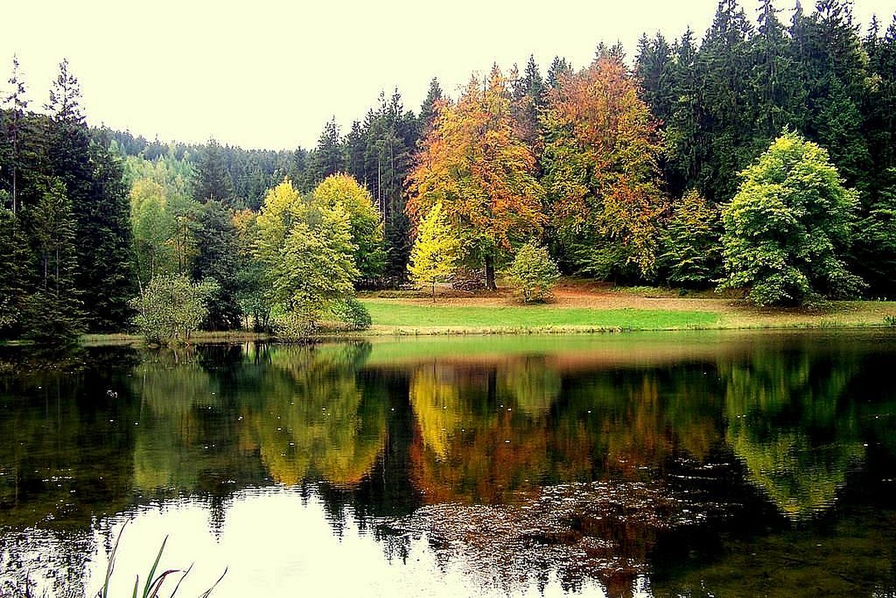 Mountainbikehotel: Hotel Schwarzbachtal Hideaway