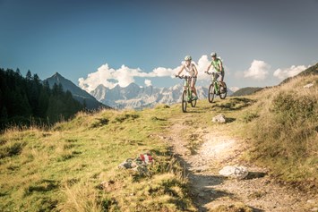 Mountainbikehotel: Bikestrecken direkt vom Hotel aus - Natur- und Wellnesshotel Höflehner