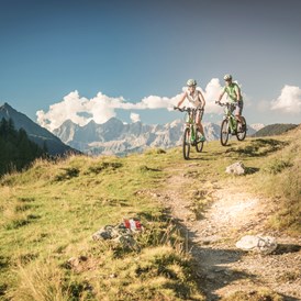 Mountainbikehotel: Bikestrecken direkt vom Hotel aus - Natur- und Wellnesshotel Höflehner