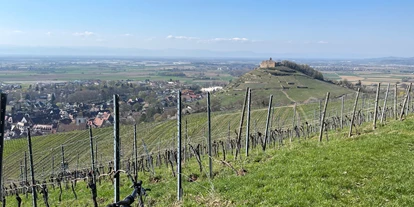 Mountainbike Urlaub - PLZ 79286 (Deutschland) - Gasthaus + Hotel Hirschen Staufen