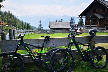Mountainbikehotel: Hütteneckalm mit Blick auf Dachstein - Kirchenwirt Sport und Wanderhotel 