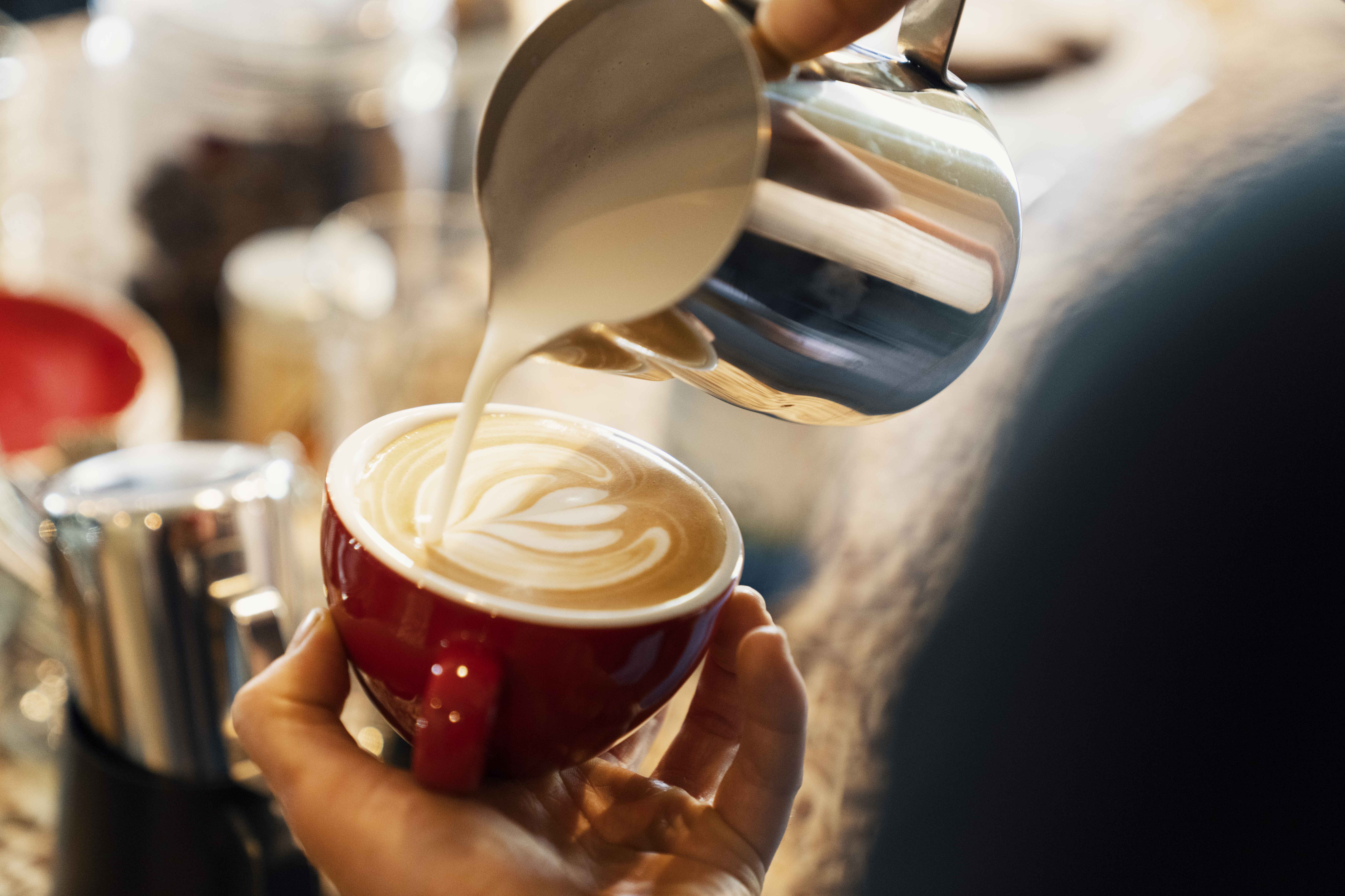 Mountainbikehotel: Flem Mountain Lodge