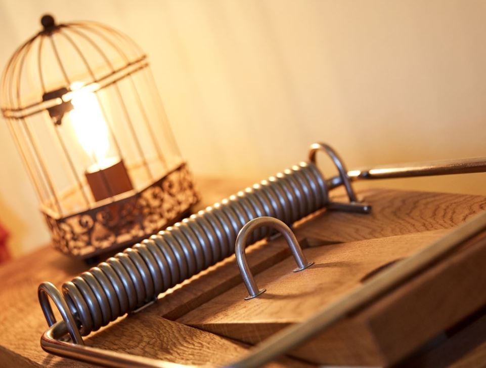 Hotel Am Eifelsteig Zimmerkategorien Mäusezimmer