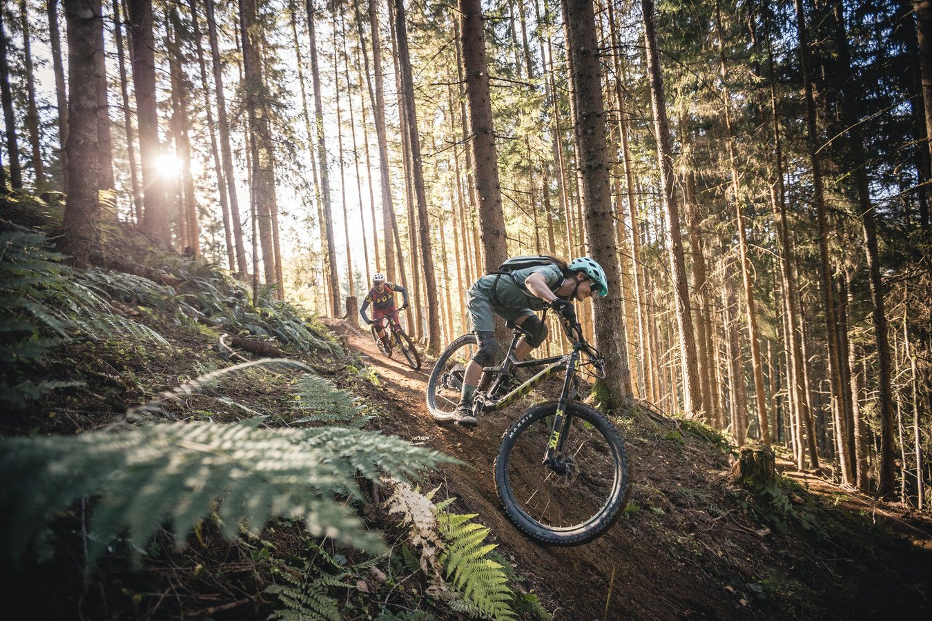 LEBE FREI Hotel Der Löwe ****S Touren Übersicht Matzalm Trail
