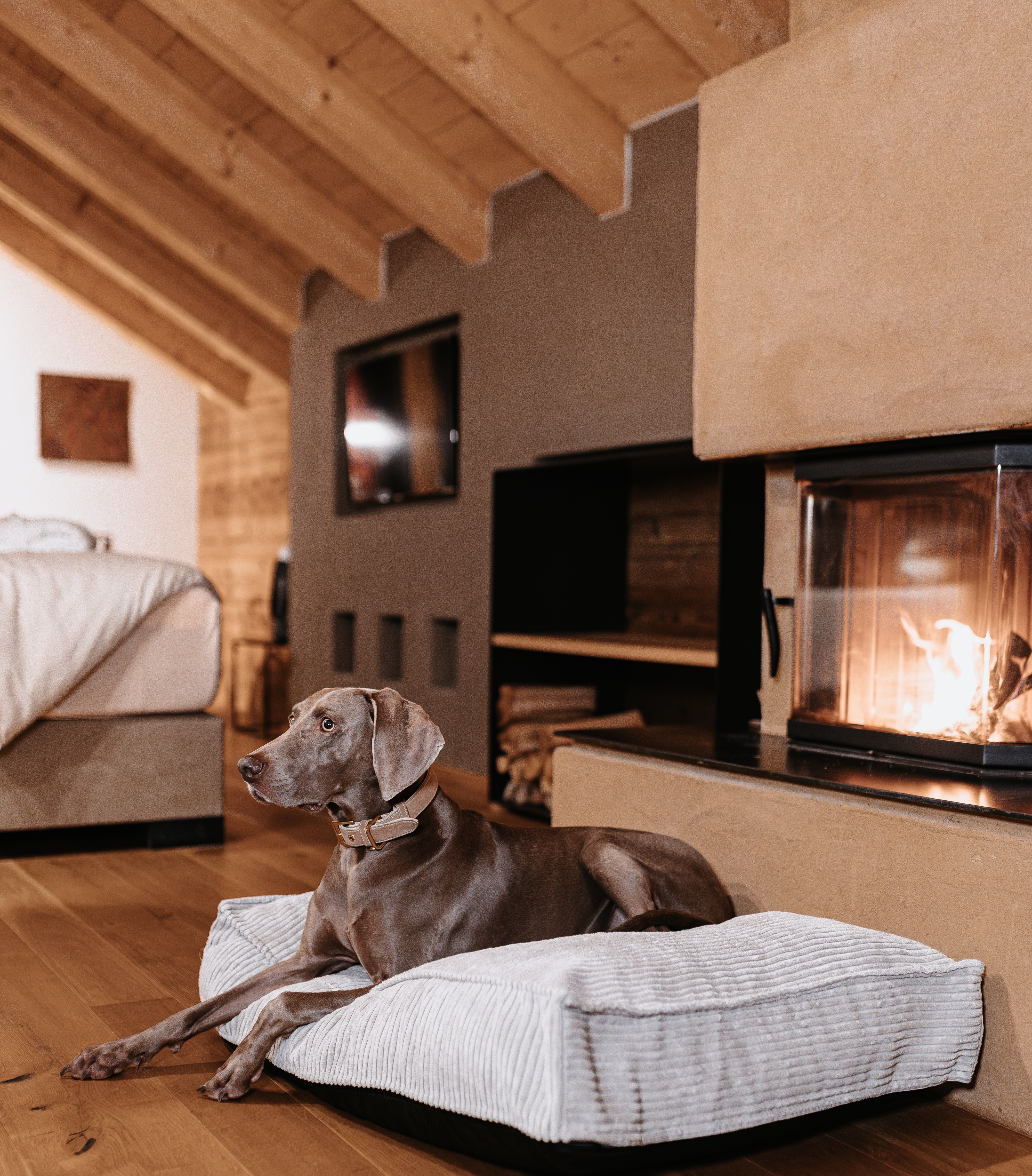 Mountainbikehotel: LEBE FREI Hotel Der Löwe ****S