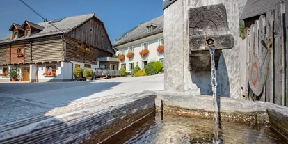 Mountainbike Urlaub - PLZ 8982 (Österreich) - Wirtshaus & Kuhstall (Apartements) - Wirtshaus & Dorfhotel MAYER