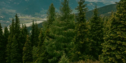 Mountainbike Urlaub - PLZ 8982 (Österreich) - Bikepark Schladming - Stadthotel Brunner