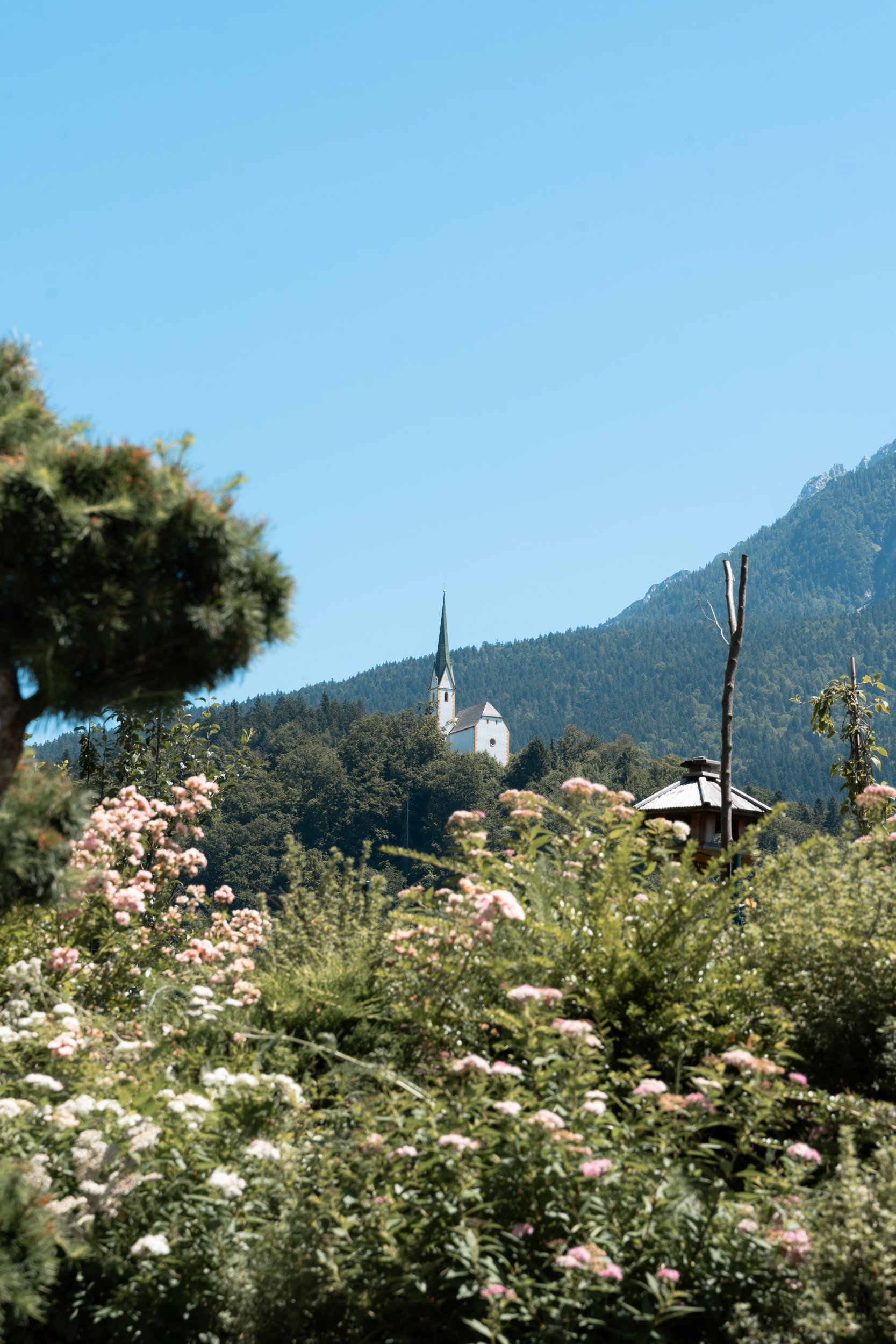 Mountainbikehotel: Aussicht Wellness - dasKAISER - dein Gartenhotel in Tirol