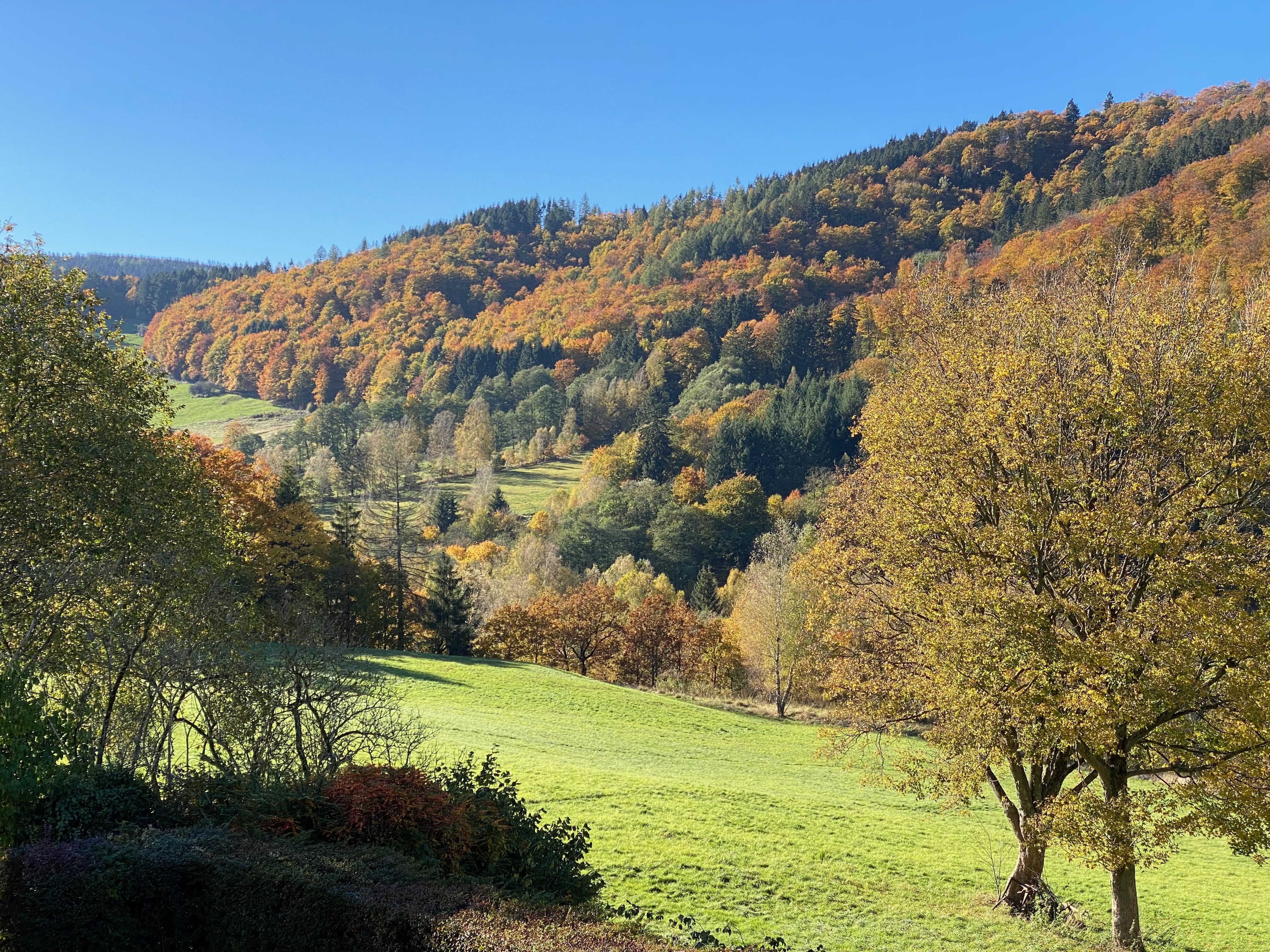 Mountainbike Urlaub - Parkplatz: kostenlos beim Hotel - Braunlage - Aussicht vom Balkon im Herbst - Schöne Aussicht
