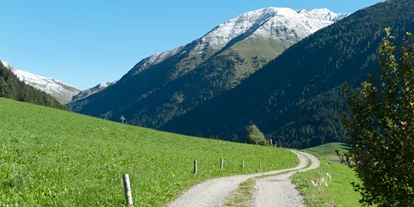 Mountainbike Urlaub - Haustrail - Trentino-Südtirol - Aussicht - Mountain Residence Montana