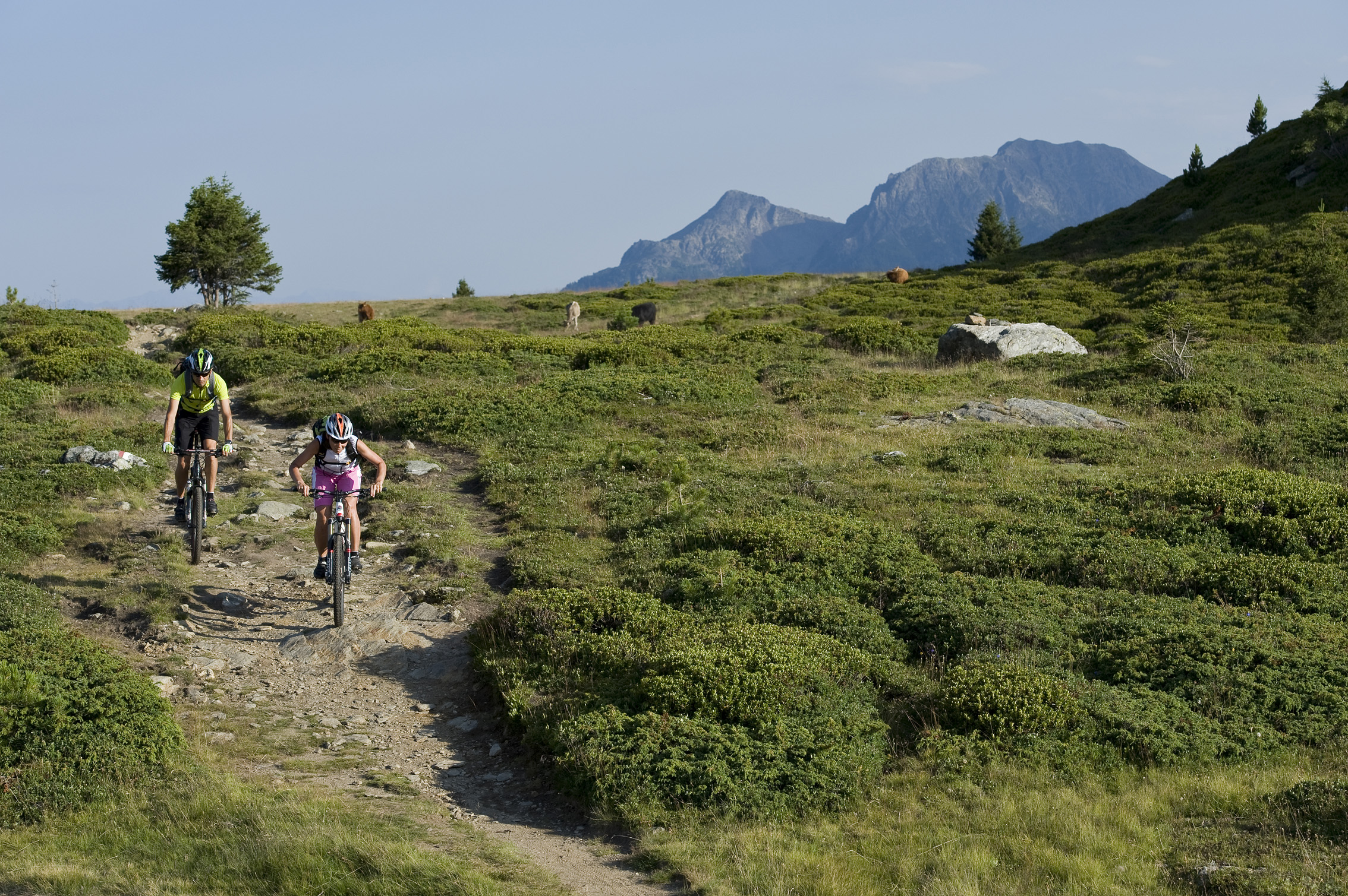 Mountainbikehotel: Biketour  - Feldhof DolceVita Resort