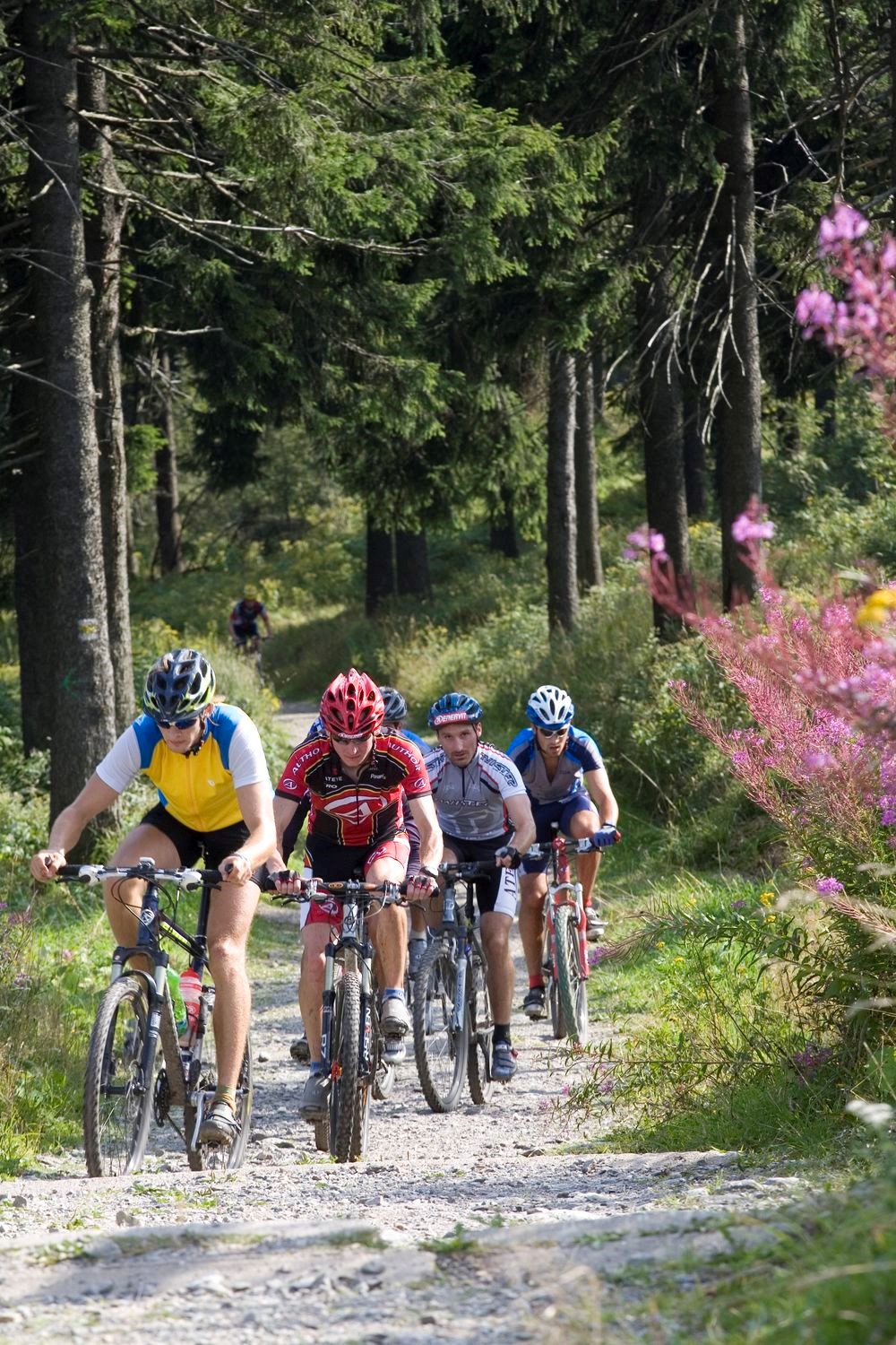 Best Western Ahorn Hotel Oberwiesenthal - Adults only Trail Übersicht Trailpark Klinovec 