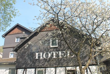 Mountainbikehotel: Cherry Blossom - Hotel Ramsbecker Hof