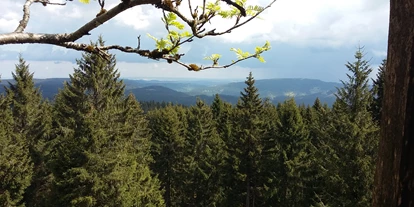 Mountainbike Urlaub - Hotel-Schwerpunkt: Mountainbike & Wandern - Der Thüringer Wald - Gasthaus Waldfrieden