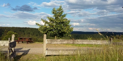 Mountainbike Urlaub - Hotel-Schwerpunkt: Mountainbike & Wandern - Ausblick hinter unserem Gasthaus - Gasthaus Waldfrieden