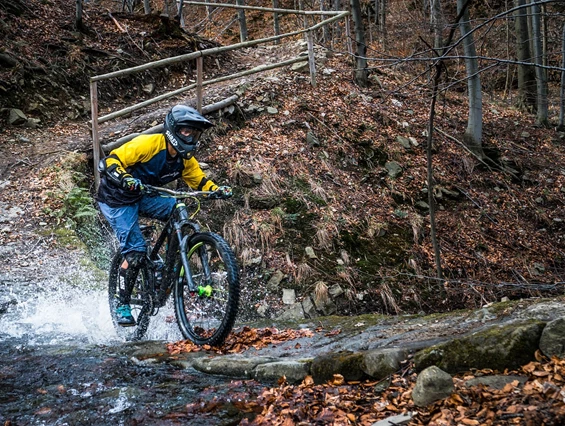 Mountainbikehotel: Mountainbike Trail Pfälzerwald - Apartment & Landhotel Zum Storchennest