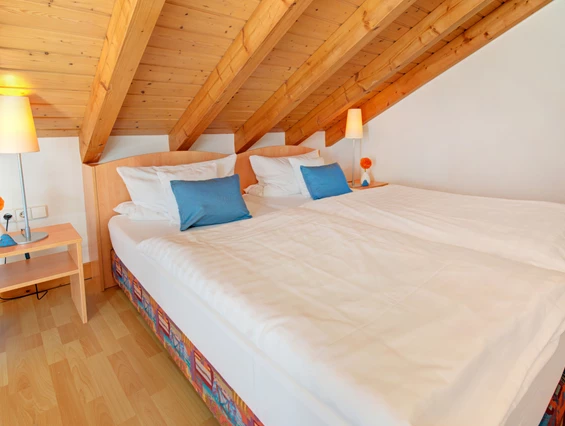 Mountainbikehotel: Bett&Bike Studio - Apartment & Landhotel Zum Storchennest