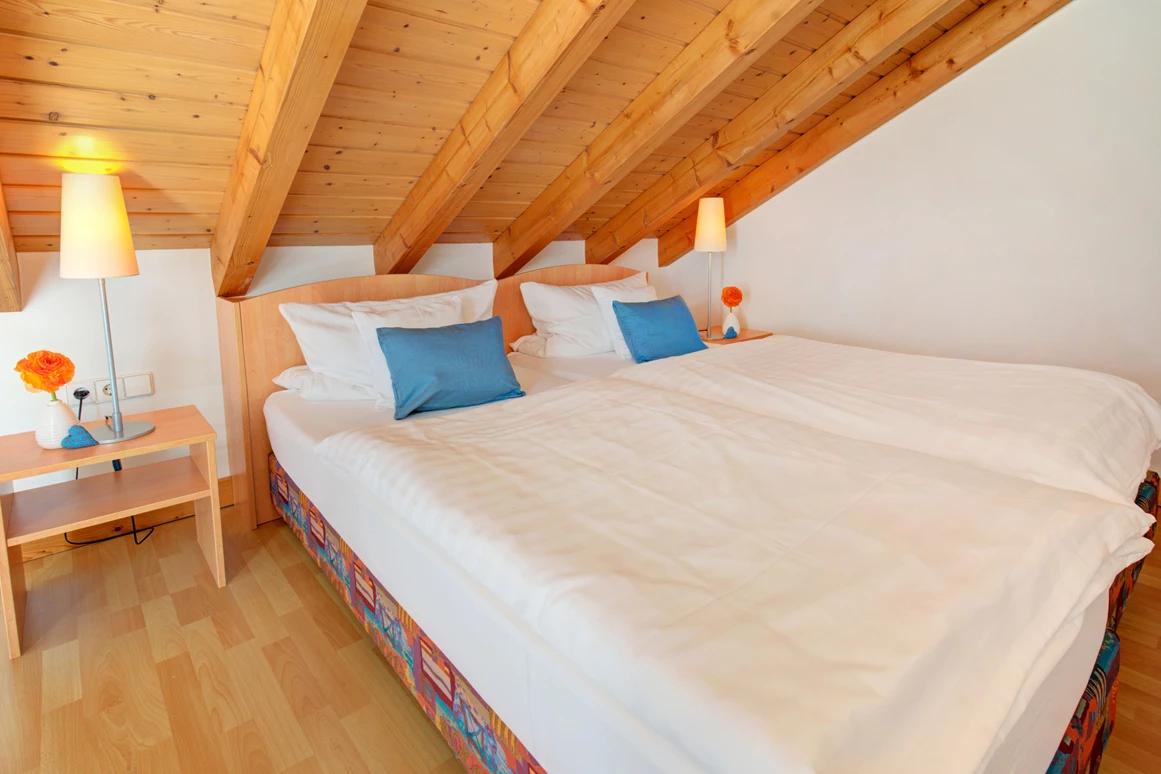 Mountainbikehotel: Bett&Bike Studio - Apartment & Landhotel Zum Storchennest