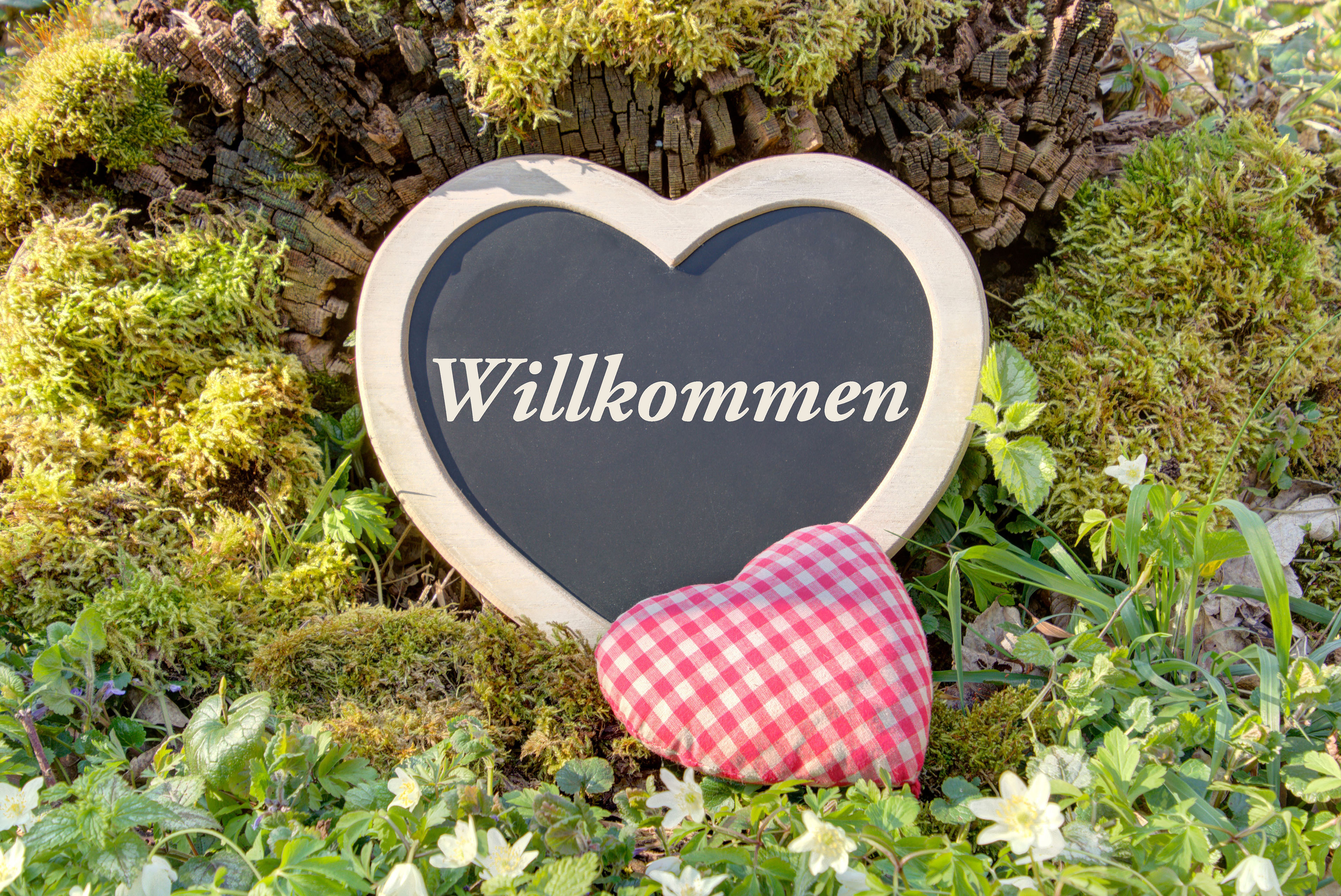 Mountainbike Urlaub - Saarbrücken - Herzlich Willkommen im Storchennest in Bann - Apartment & Landhotel Zum Storchennest