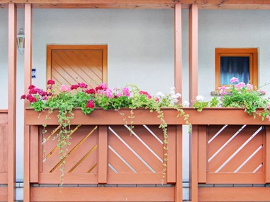 Mountainbikehotel: Unser Landhaus Palatina - Apartment & Landhotel Zum Storchennest