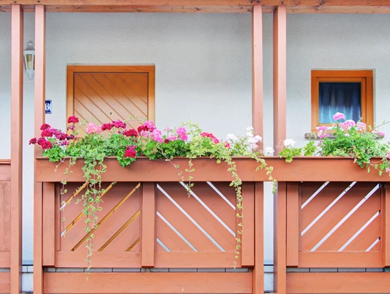 Mountainbikehotel: Unser Landhaus Palatina - Apartment & Landhotel Zum Storchennest