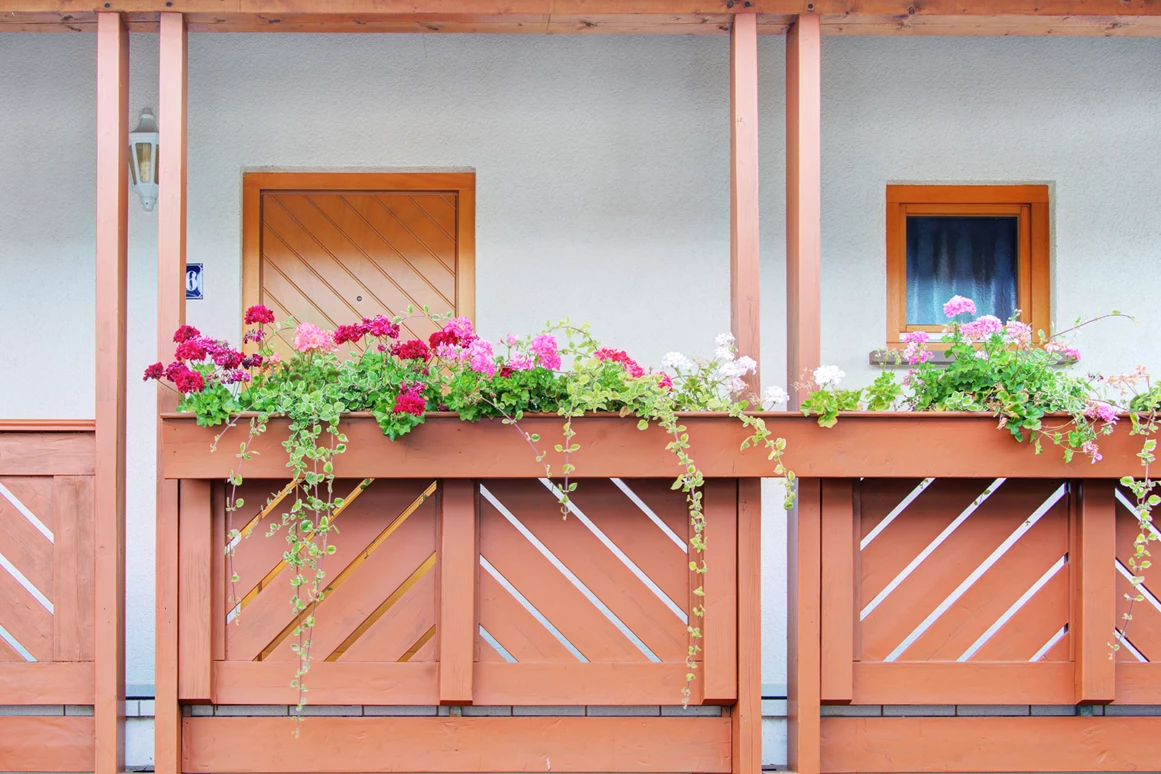 Mountainbikehotel: Unser Landhaus Palatina - Apartment & Landhotel Zum Storchennest
